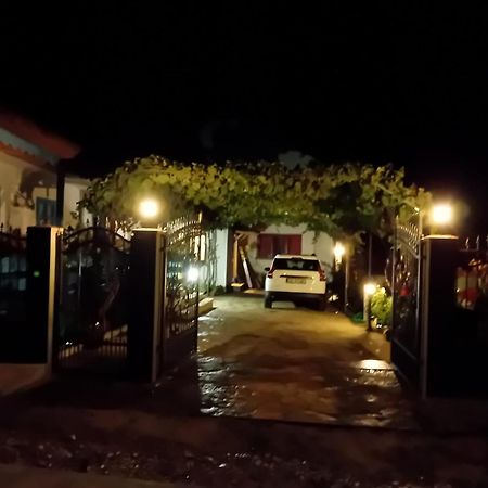 ホテル Casa Rasaritul Soarelui Sarichioi エクステリア 写真