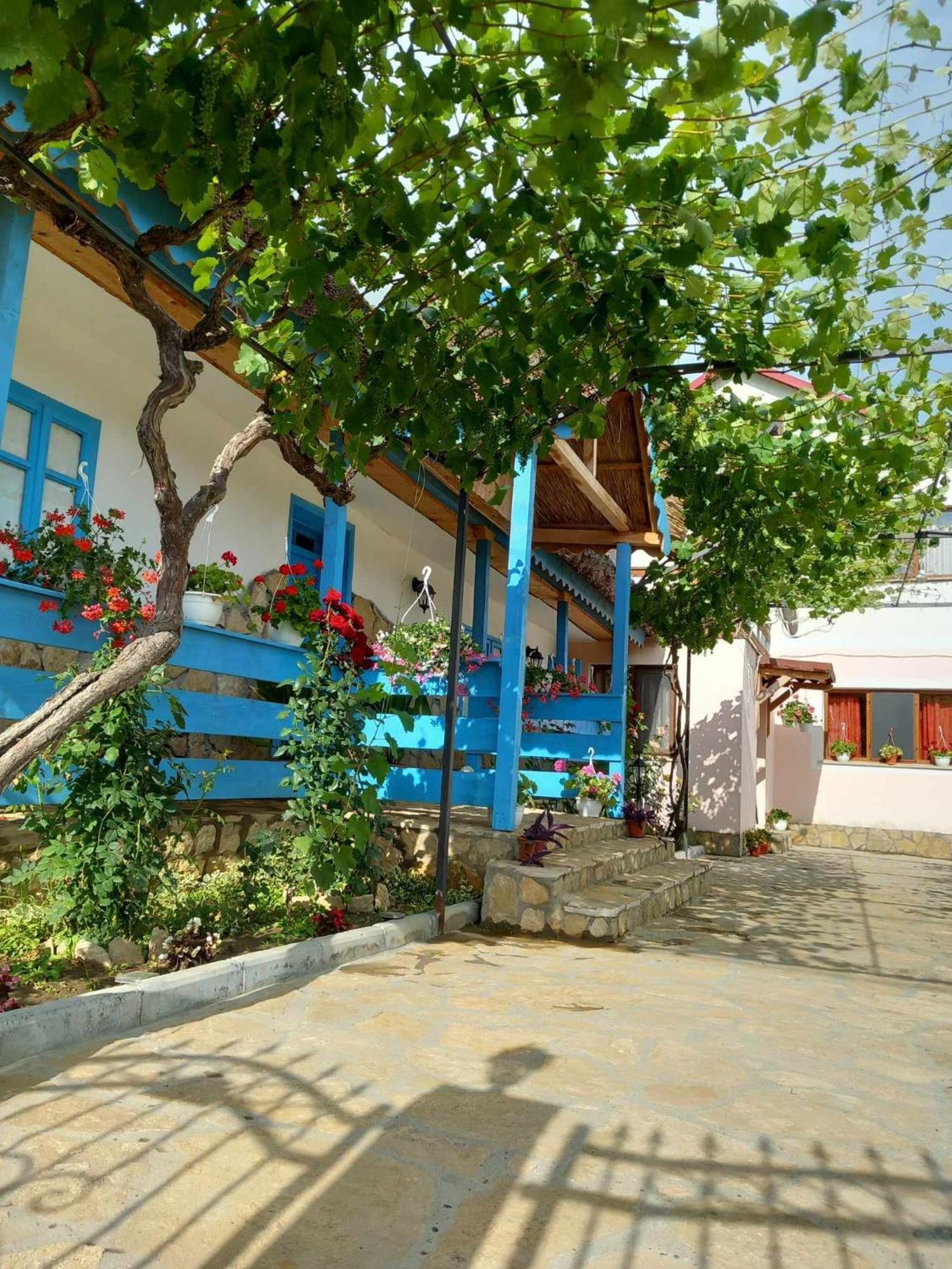 ホテル Casa Rasaritul Soarelui Sarichioi エクステリア 写真